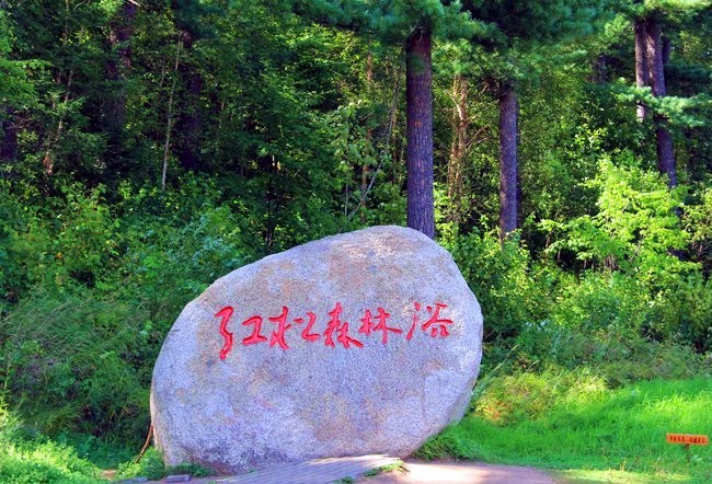 1575427144141385.jpg