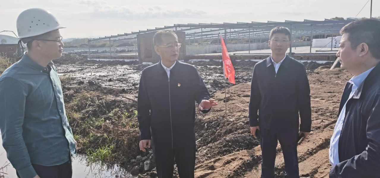 铁力市委书记史春光对重点项目建设情况进行调研